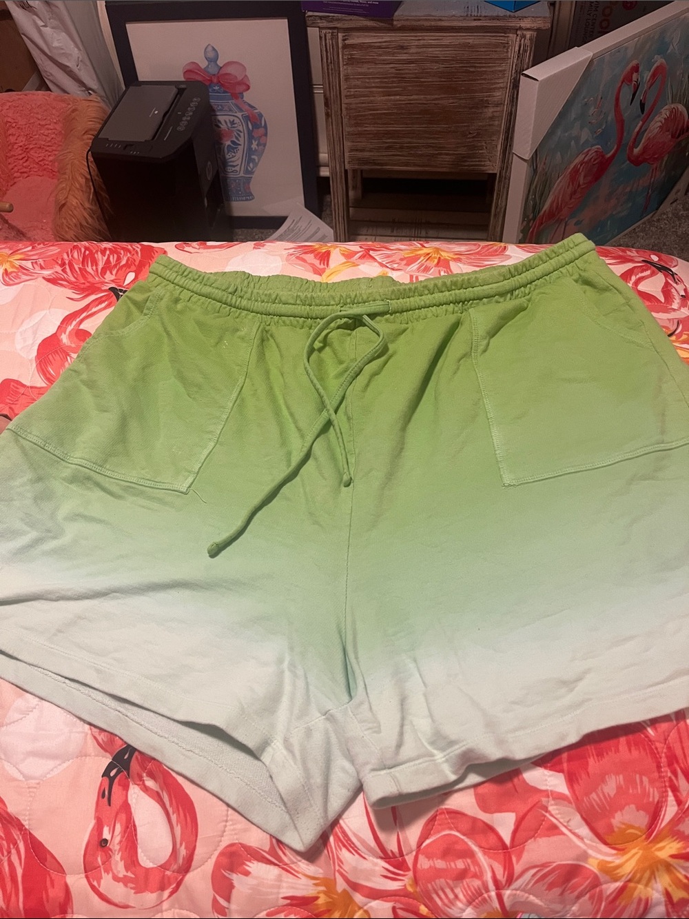 Zenana Outfitters Green Ombre Drawstring Lounge Shorts